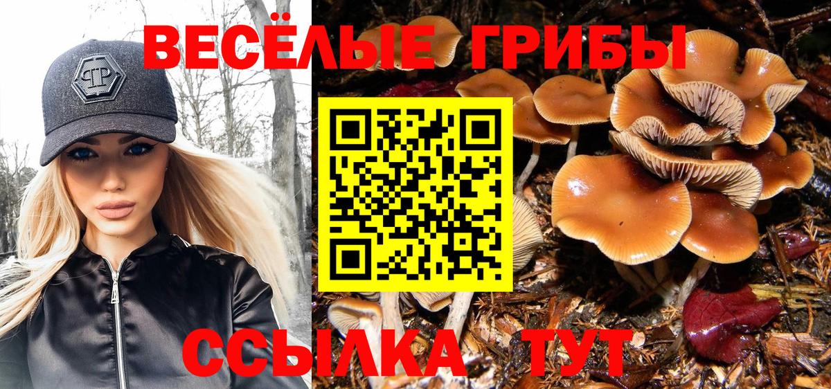 Сызрань  Галлюциногенные грибы ЛСД  Псилоцибиновые грибы GOLDEN TEACHER  Вход с VPN 